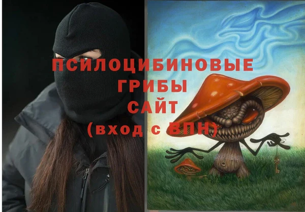 мдпв Горняк